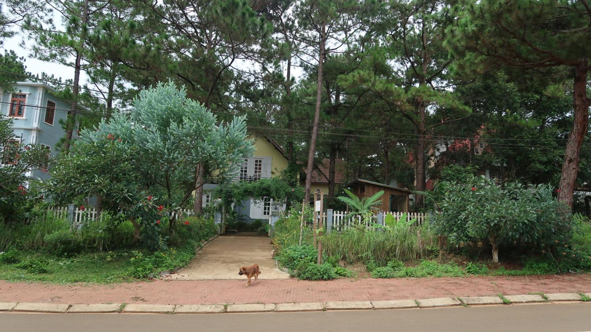 La Maison Homestay Mang Den Kon Tum Exterior foto