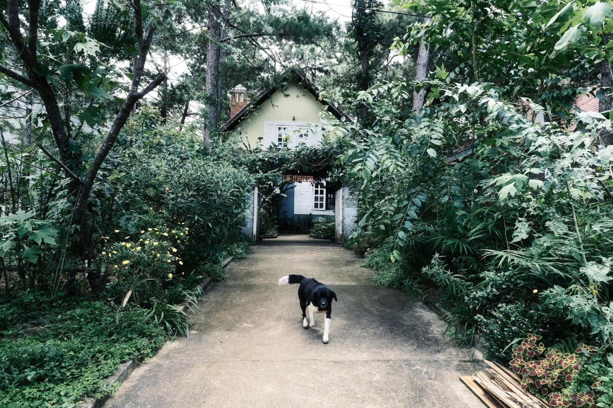 La Maison Homestay Mang Den Kon Tum Exterior foto